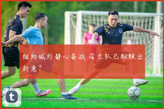 纽约城外静心备战 荷兰队已酝酿出新意?