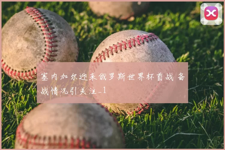 塞内加尔迎来俄罗斯世界杯首战 备战情况引关注_1