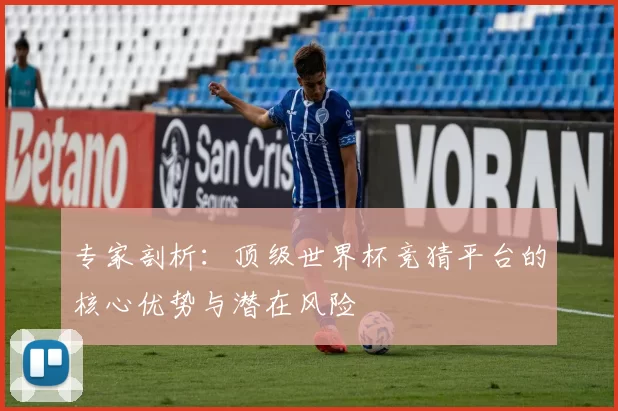 专家剖析:顶级世界杯竞猜平台的核心优势与潜在风险