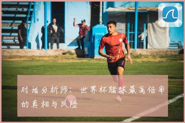 对话分析师:世界杯赌球最高倍率的真相与风险