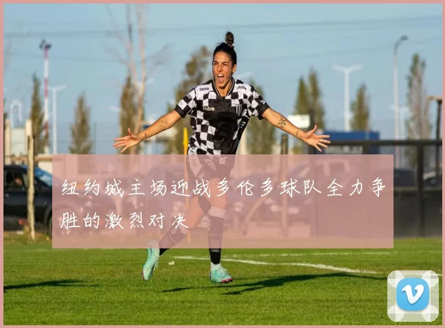 纽约城主场迎战多伦多球队全力争胜的激烈对决