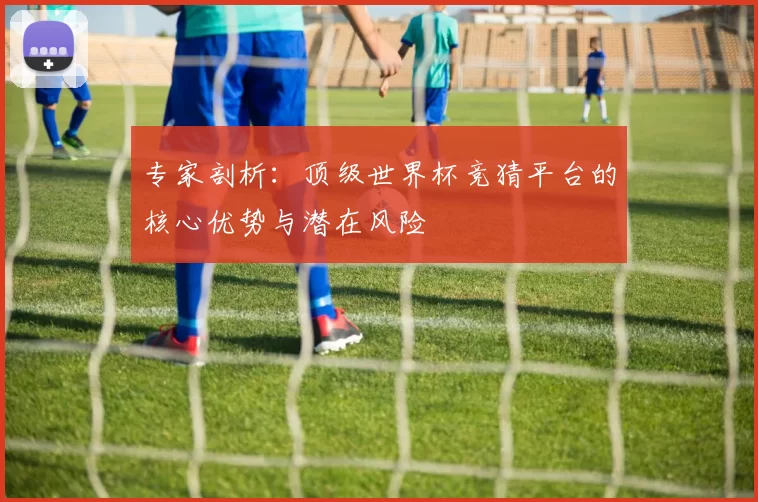 专家剖析：顶级世界杯竞猜平台的核心优势与潜在风险