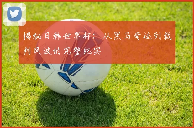揭秘日韩世界杯：从黑马奇迹到裁判风波的完整纪实