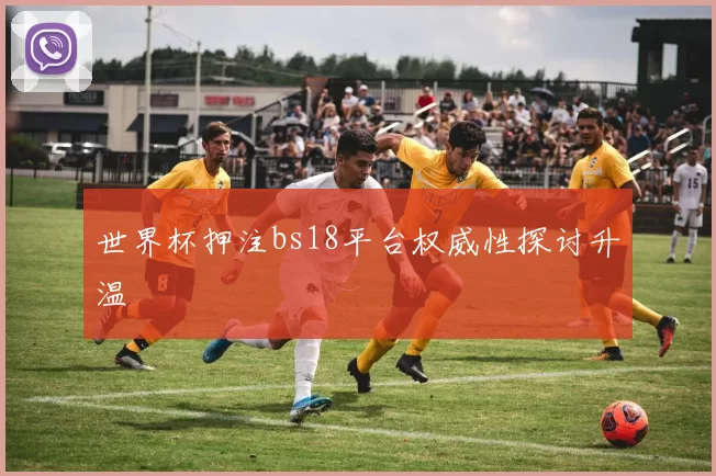 世界杯押注bs18平台权威性探讨升温