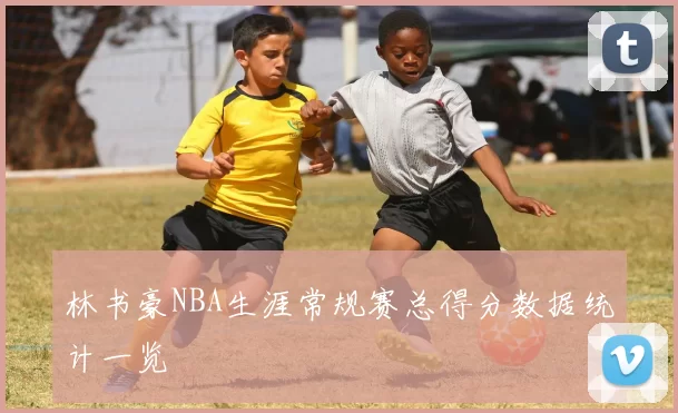 林书豪NBA生涯常规赛总得分数据统计一览