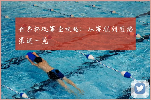 世界杯观赛全攻略:从赛程到直播渠道一览