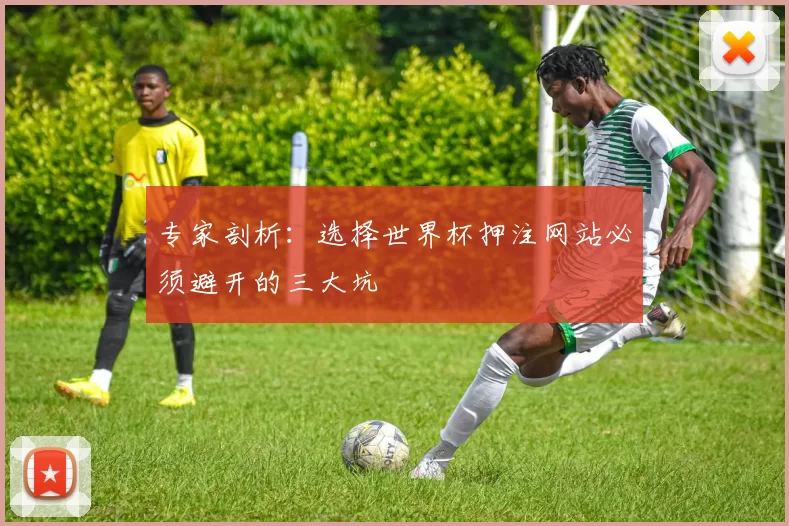 专家剖析：选择世界杯押注网站必须避开的三大坑